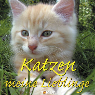 Buch "Katzen meine Lieblinge" Buch "Katzen meine Lieblinge"