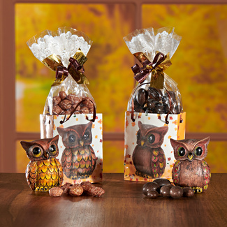 Geschenktäschchen Erdnuss-Mix mit Dekofiguren "Eulen", 2er-Set Geschenktäschchen Erdnuss-Mix mit Dekofiguren "Eulen", 2er-Set
