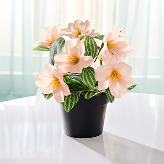 Kunstpflanze im Topf champagnerfarben Eldo Kunstpflanze im Topf champagnerfarben Eldo