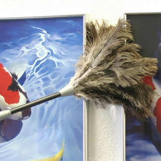 Maximex Staub-Magnet mit verlängerbarem Teleskopstiel, Schwarz, ideal für schwer erreichbare Stellen Maximex Staub-Magnet mit verlängerbarem Teleskopstiel, Schwarz, ideal für schwer erreichbare Stellen