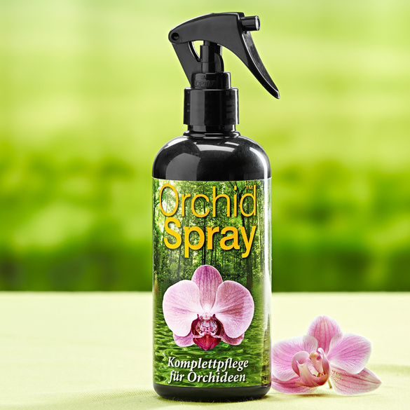 Orchideen-Spray
