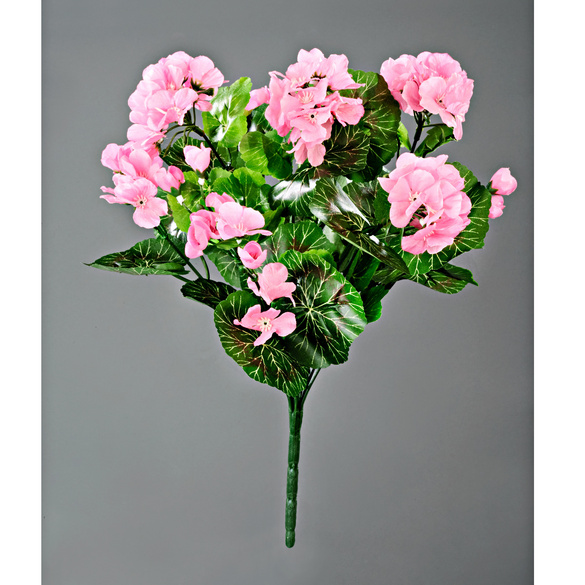 Geranien-Bouquet pink