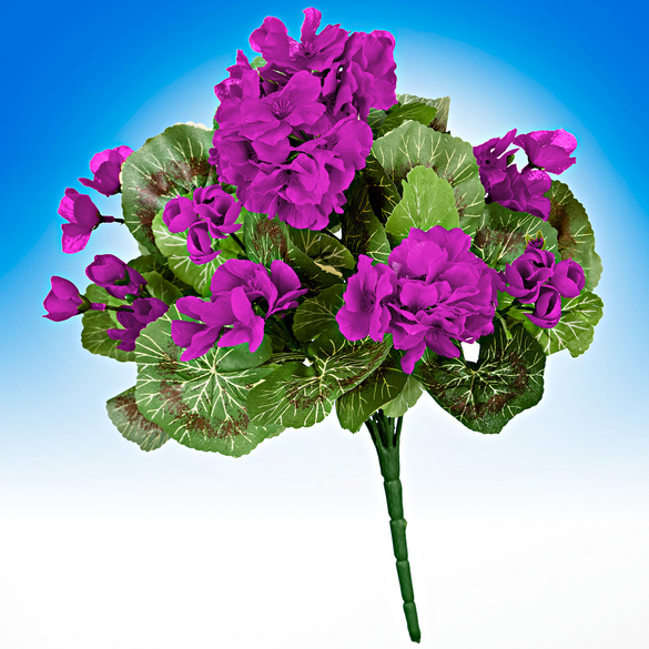 Geranien-Bouquet lila