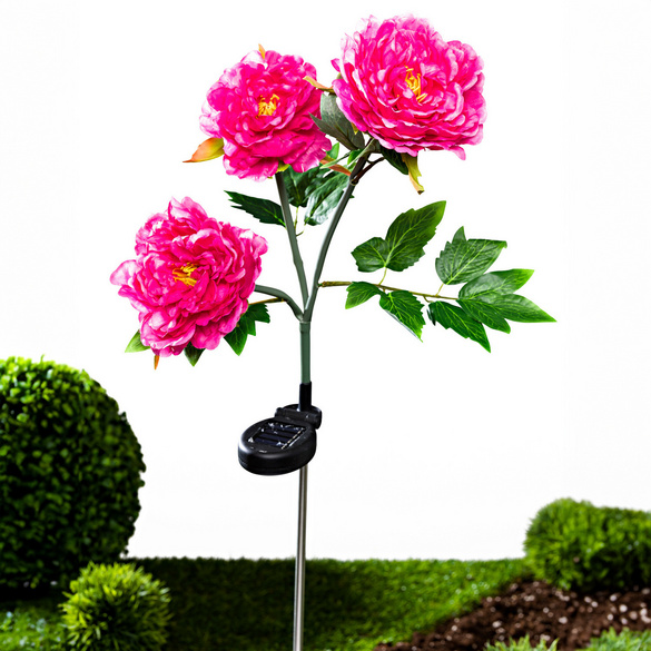 Solar Gartenstecker Blume "Pfingstrose" pink, 3-tlg.