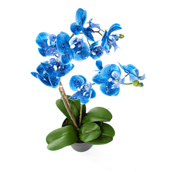 Kunstblume Blaue Orchidee