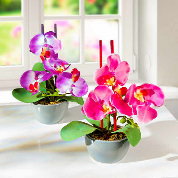 Kunstblumen Orchideen im Topf, 2er-Set