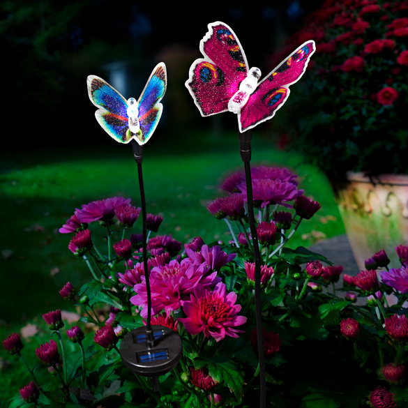 Solarstecker "Schmetterling" lila