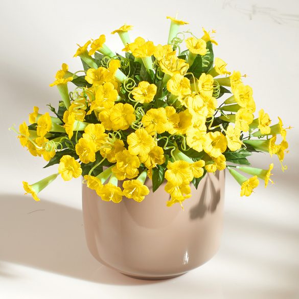 Petunien-Bouquet gelb Casa Bonita