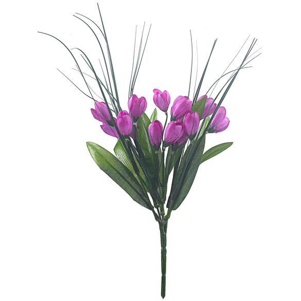 Krokuss-Strauß lila