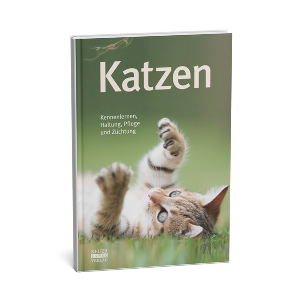 Buch "Katzen"