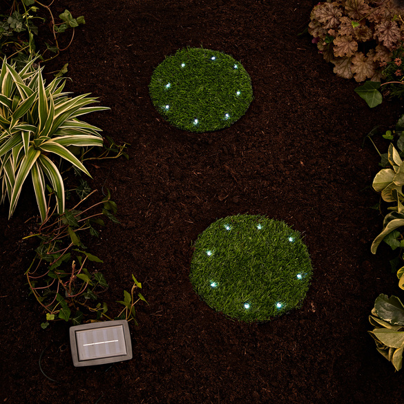 Solar-Leuchten "Gras", 4er-Set