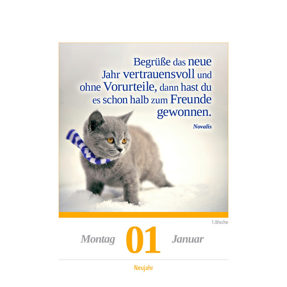 Kalender Katze 2025