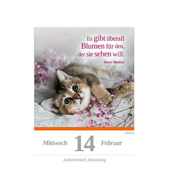 Kalender Katze 2025
