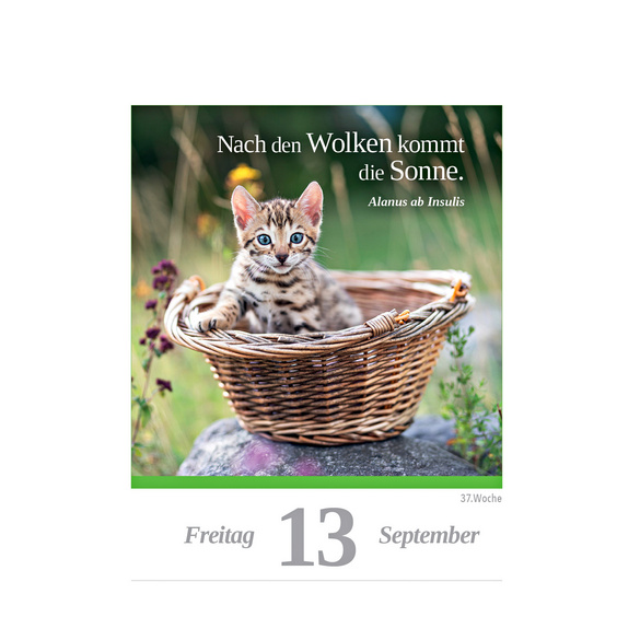 Kalender Katze 2025