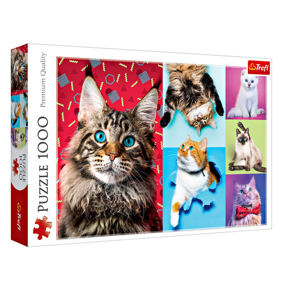 Puzzle 1000 Teile - Glückliche Katzen