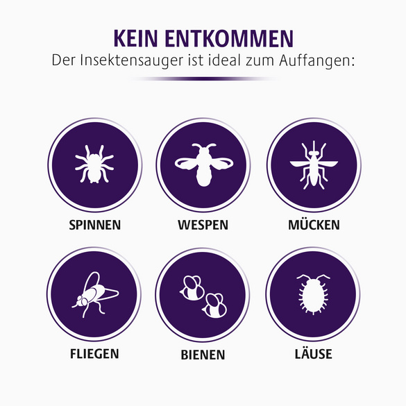 Insektensauger tierfreundlich