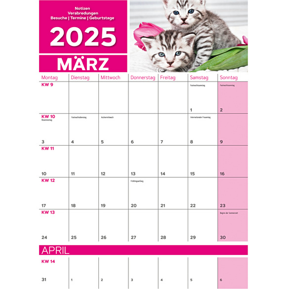 Wandkalender 2025 "Tierbabys"