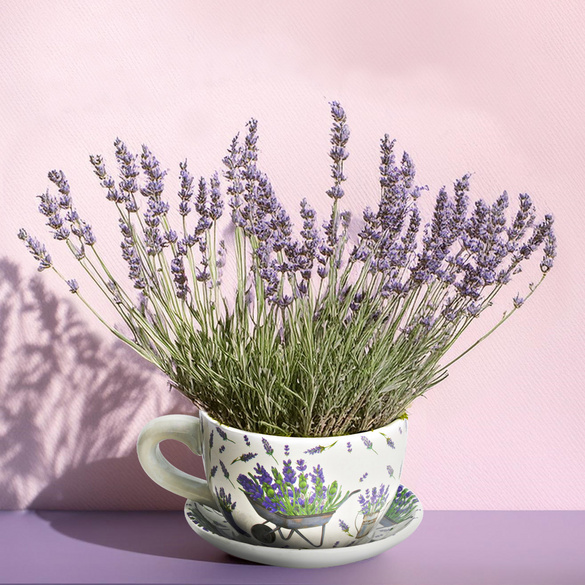 Blumentopf "Tasse Lavendel" aus Keramik