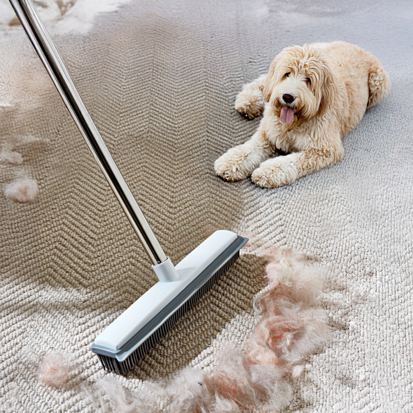 2-in-1-Tierhaar-Besen