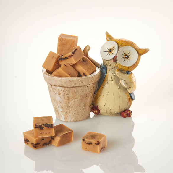 Pflanztopf "Eule" mit Vanille-Fudge gefüllt Eldo