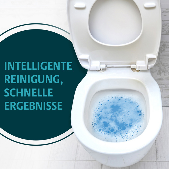 Schäumender WC-Reiniger Clarsen
