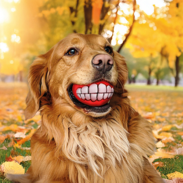 Kauspielzeug für Hunde, 2er-Set