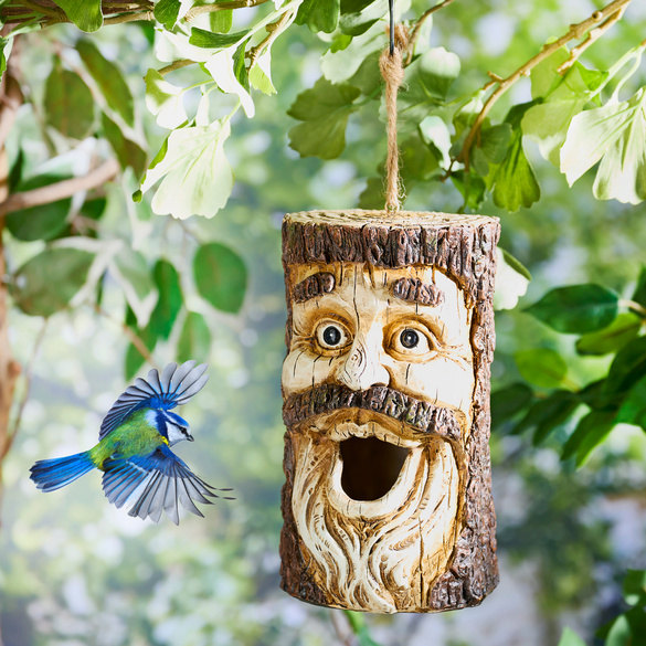 Vogelhaus Baum mit Gesicht