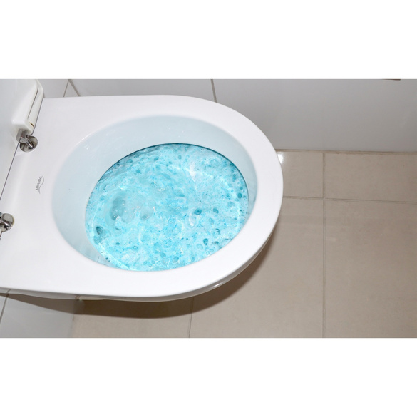 Captain Clean WC-Reiniger Zauberschaum, 1kg