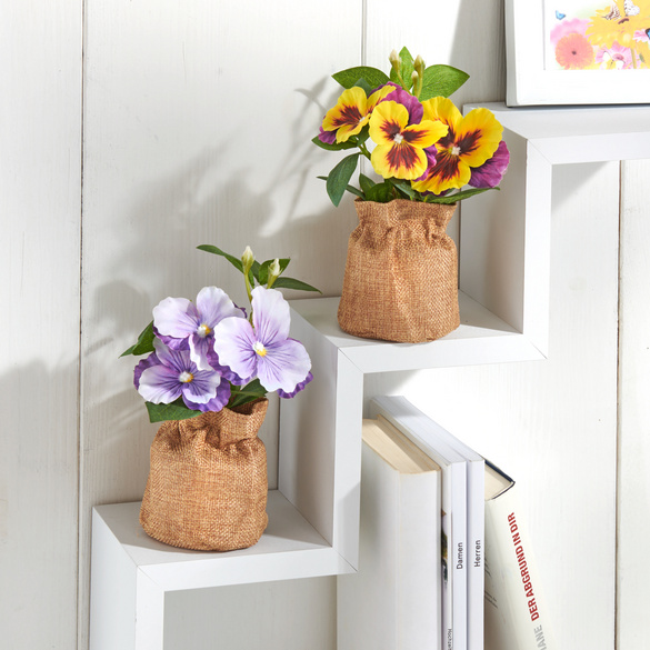 Stiefmütterchen im Jutetopf lila