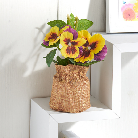 Stiefmütterchen im Jutetopf gelb