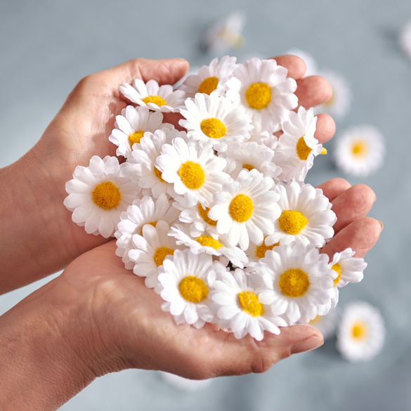 Streublüten "Margeriten" 50er-Set