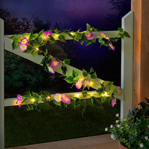 Solar-Girlande Petunien
