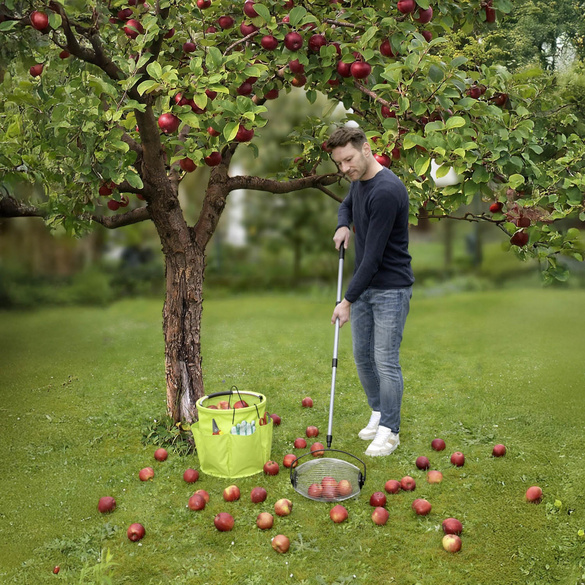 Rollsammler mit Teleskopstiel MAXIMEX