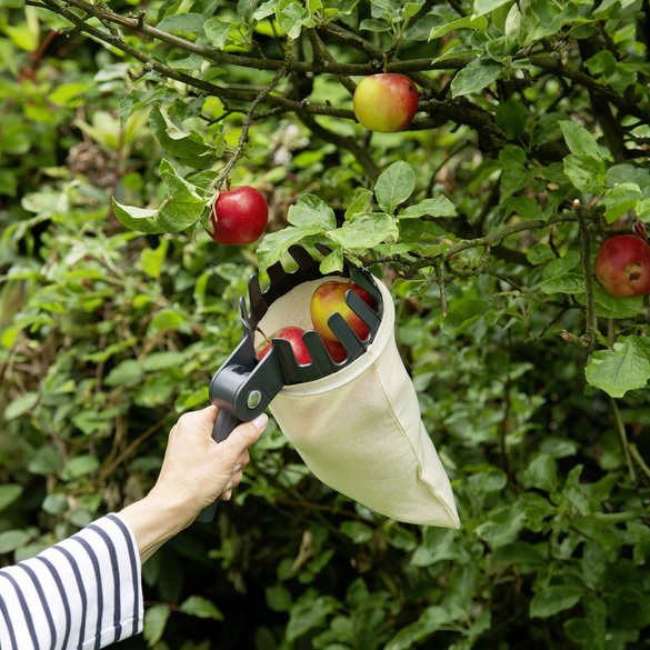 Obstsammler XL mit Teleskopstiel MAXIMEX