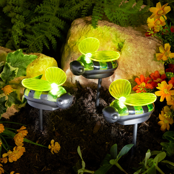 Solar-Bienenleuchten 3er-Set