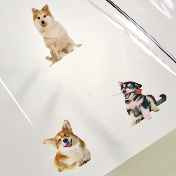 Regenschirm "Hund & Katz"