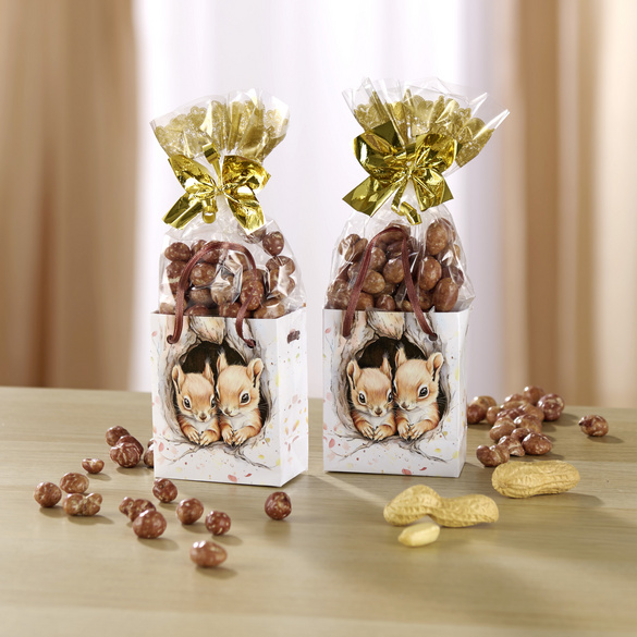 Eichhörnchen-Tüten mit gebrannten Erdnüssen 2er-Set