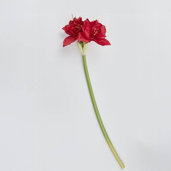Dekozweig Amaryllis Eldo
