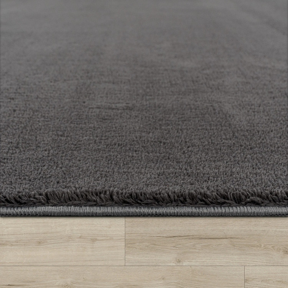 Kurzflor-Teppich CADIZ 630 Anthrazit Rund Paco Home