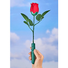 Rose "Happy Birthday" mit Musik