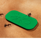 Ameisen Gift Platte