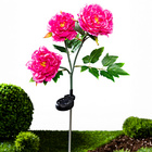 Solar Gartenstecker Blume "Pfingstrose" pink, 3-tlg.