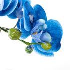 Kunstblume Blaue Orchidee Eldo