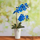 Kunstblume Blaue Orchidee