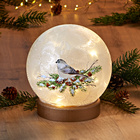 LED-Glaskugel "Wintervogel"