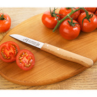 Schälmesser mit Holzgriff