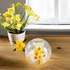 LED-Glaskugel mit Narzissen,  Ø 15 cm
