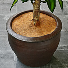 Pflanzenschutz-Kokosmatte, Ø 30 cm