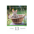 Kalender Katze 2025