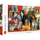 Puzzle 1000 Teile - Katzen